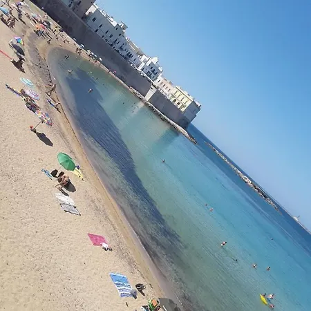 Alaka 2 *